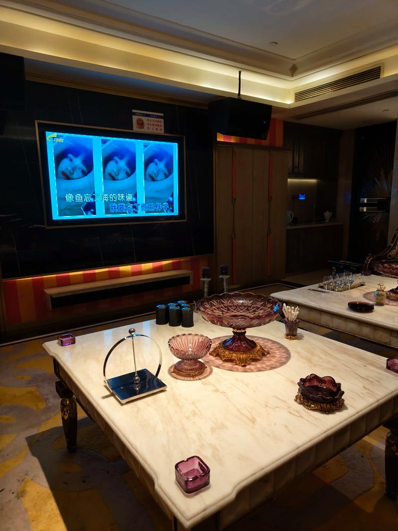 青岛商务ktv单人商务ktv优选场所-市北区ktv预订